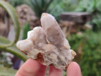 Natural Fairy Spirit Quartz Clusters x 12 From Boekenhouthoek, South Africa - Toprock Gemstones and Minerals