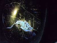 Polished Black Tourmaline Standing Free Form x 1 From Madagascar - Toprock Gemstones and Minerals