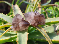Natural Amethyst Spirit Quartz Crystals x 35 From Boekenhouthoek, South Africa - Toprock Gemstones and Minerals