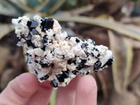 Natural Schorl Black Tourmaline Specimens x 12 From Erongo, Namibia - Toprock Gemstones and Minerals
