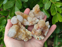 Natural Golden Limonite Coated Spirit Quartz Clusters x 12 From Boekenhouthoek, South Africa - Toprock Gemstones and Minerals