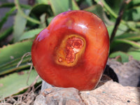 Polished Carnelian Agate Hearts x 6 From Madagascar - Toprock Gemstones and Minerals