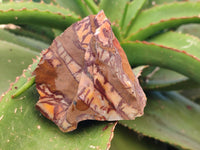 Natural Selected Nguni Jasper Cobbed Specimens x 12 From Prieska, South Africa - Toprock Gemstones and Minerals