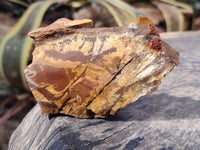 Natural Selected Nguni Jasper Cobbed Specimens x 12 From Prieska, South Africa - Toprock Gemstones and Minerals