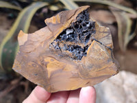 Natural Selected Nguni Jasper Cobbed Specimens x 12 From Prieska, South Africa - Toprock Gemstones and Minerals