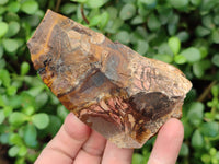 Natural Selected Nguni Jasper Cobbed Specimens x 12 From Prieska, South Africa - Toprock Gemstones and Minerals
