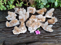 Natural Limonite Coated Fairy Spirit Quartz Clusters x 12 From Boekenhouthoek, South Africa - Toprock Gemstones and Minerals