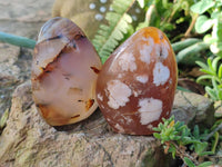 Polished Mixed Agate Free Forms x 4 From Madagascar - Toprock Gemstones and Minerals