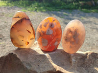 Polished Mixed Agate Free Forms x 4 From Madagascar - Toprock Gemstones and Minerals