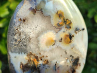 Polished Mixed Agate Free Forms x 4 From Madagascar - Toprock Gemstones and Minerals