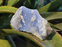 Natural Blue Lace Agate Geode Specimens x 6 From Nsanje, Malawi - Toprock Gemstones and Minerals