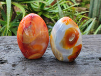 Polished Carnelian Agate Standing Free Forms x 6 From Madagascar - Toprock Gemstones and Minerals