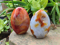 Polished Carnelian Agate Standing Free Forms x 6 From Madagascar - Toprock Gemstones and Minerals