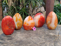 Polished Carnelian Agate Standing Free Forms x 5 From Madagascar - Toprock Gemstones and Minerals