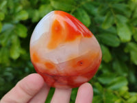 Polished Carnelian Agate Standing Free Forms x 5 From Madagascar - Toprock Gemstones and Minerals