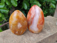 Polished Carnelian Agate Standing Free Forms x 5 From Madagascar - Toprock Gemstones and Minerals