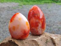 Polished Carnelian Agate Standing Free Forms x 5 From Madagascar - Toprock Gemstones and Minerals
