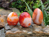 Polished Carnelian Agate Standing Free Forms x 5 From Madagascar - Toprock Gemstones and Minerals
