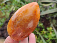 Polished Carnelian Agate Standing Free Forms x 5 From Madagascar - Toprock Gemstones and Minerals