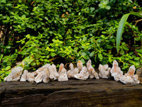 Natural Golden Limonite Coated Spirit Quartz Clusters x 35 From Boekenhouthoek, South Africa - Toprock Gemstones and Minerals