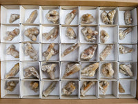 Natural Golden Limonite Coated Spirit Quartz Clusters x 35 From Boekenhouthoek, South Africa - Toprock Gemstones and Minerals