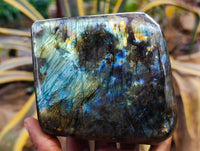Polished Labradorite Standing Free Forms x 2 From Tulear, Madagascar - Toprock Gemstones and Minerals
