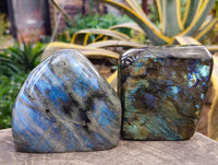 Polished Labradorite Standing Free Forms x 2 From Tulear, Madagascar - Toprock Gemstones and Minerals