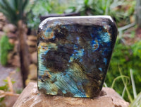 Polished Labradorite Standing Free Forms x 2 From Tulear, Madagascar - Toprock Gemstones and Minerals