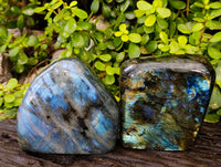 Polished Labradorite Standing Free Forms x 2 From Tulear, Madagascar - Toprock Gemstones and Minerals