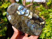 Polished Labradorite Standing Free Forms x 2 From Tulear, Madagascar - Toprock Gemstones and Minerals