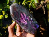 Polished Labradorite Standing Free Forms x 2 From Tulear, Madagascar - Toprock Gemstones and Minerals