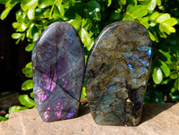 Polished Labradorite Standing Free Forms x 2 From Tulear, Madagascar - Toprock Gemstones and Minerals