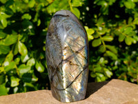 Polished Labradorite Standing Free Forms x 2 From Tulear, Madagascar - Toprock Gemstones and Minerals