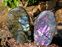 Polished Labradorite Standing Free Forms x 2 From Tulear, Madagascar - Toprock Gemstones and Minerals