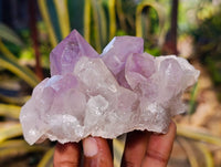 Natural Jacaranda Amethyst Quartz Clusters x 6 From Mumbwa, Zambia - Toprock Gemstones and Minerals