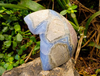 Polished Blue Lace Agate Standing Free Form x 1 From Malawi - Toprock Gemstones and Minerals