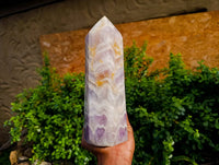 Polished Chevron Amethyst Crystal x 1 Zambia - Toprock Gemstones and Minerals