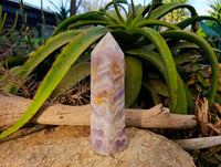 Polished Chevron Amethyst Crystal x 1 Zambia - Toprock Gemstones and Minerals