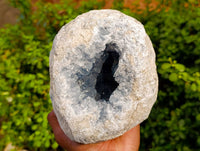 Natura Celestite Geode Specimen x 1 From Sakoany, Madagascar - Toprock Gemstones and Minerals