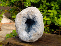 Natura Celestite Geode Specimen x 1 From Sakoany, Madagascar - Toprock Gemstones and Minerals