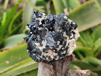 Natural Schorl Black Tourmaline Specimens x 12 From Erongo, Namibia - Toprock Gemstones and Minerals