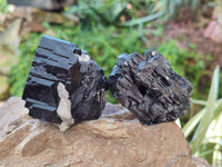 Natural Schorl Black Tourmaline Specimens x 6 From Erongo, Namibia - Toprock Gemstones and Minerals