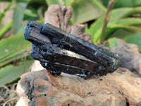 Natural Schorl Black Tourmaline Specimens x 6 From Erongo, Namibia - Toprock Gemstones and Minerals