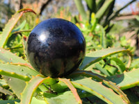 Polished Black Tourmaline Spheres x 3 From Madagascar - Toprock Gemstones and Minerals