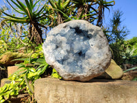 Natura Celestite Geode Specimen x 1 From Sakoany, Madagascar - Toprock Gemstones and Minerals