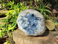 Natura Celestite Geode Specimen x 1 From Sakoany, Madagascar - Toprock Gemstones and Minerals