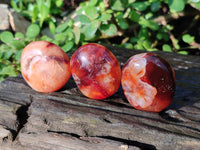 Polished Carnelian Agate Palm Stones x 20 From Madagascar - Toprock Gemstones and Minerals