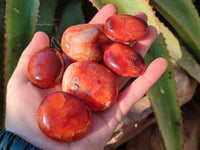 Polished Carnelian Agate Palm Stones x 20 From Madagascar - Toprock Gemstones and Minerals