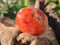 Polished Carnelian Agate Palm Stones x 20 From Madagascar - Toprock Gemstones and Minerals
