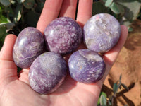 Polished Lepidolite with Pink Rubellite Palm Stones x 20 From Ambatondrazaka, Madagascar - Toprock Gemstones and Minerals
